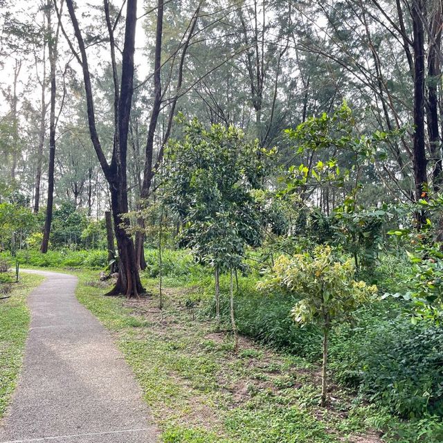 Natural Park in the Northeast of SG 