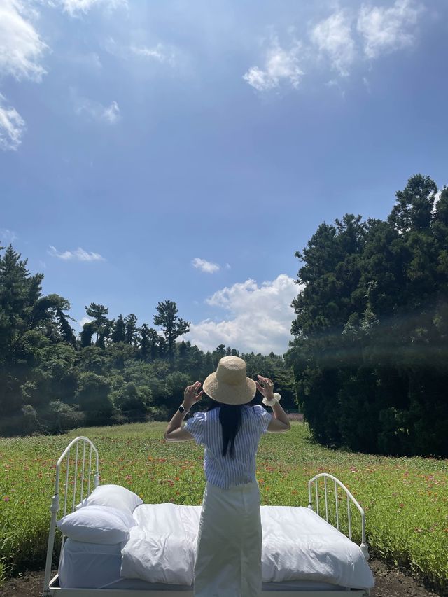 제주 동쪽 다양한 포토존이 있는 뷰좋은카페, 비케이브