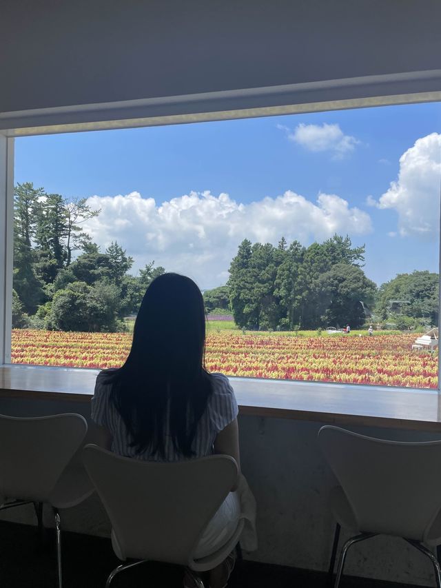 제주 동쪽 다양한 포토존이 있는 뷰좋은카페, 비케이브