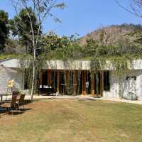 คาเฟ่ Hobbitลับใต้ดิน บรรยากาศแห่งขุนเขา