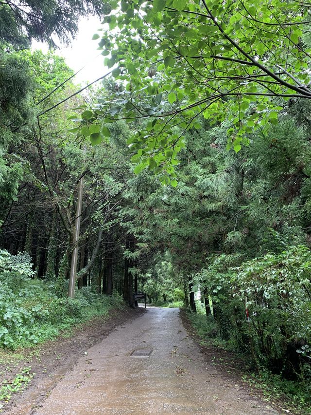 제주 숨은 명소, 금오름