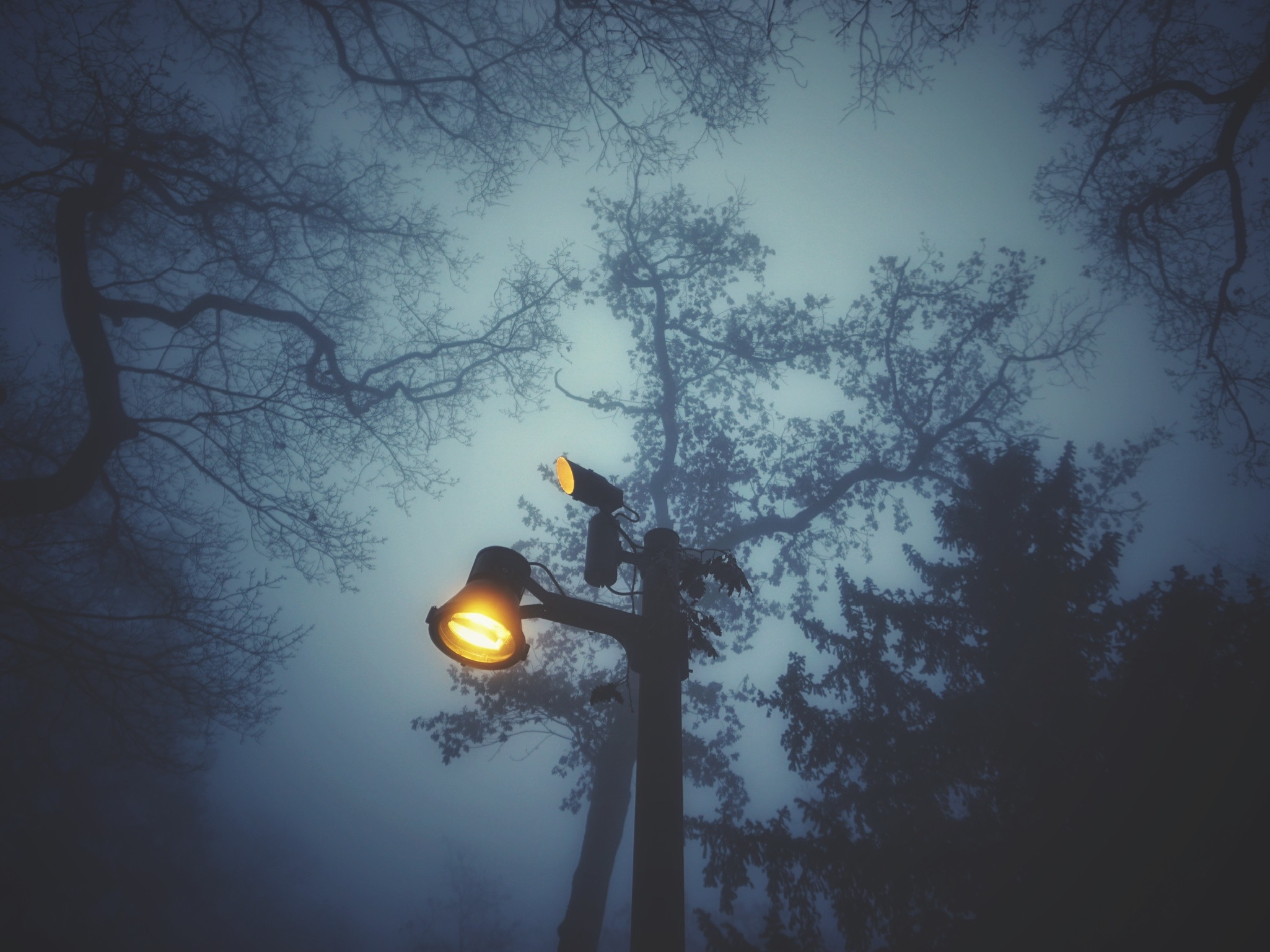 Enjoy the dreamy scenery at the Niederwald Monument in Germany