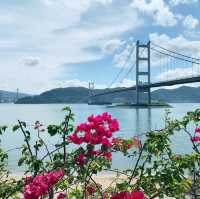 挪亞方舟主題樂園