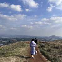 제주ㅣ반려동반 가능한 제주도 오름 추천, 금오름🏔