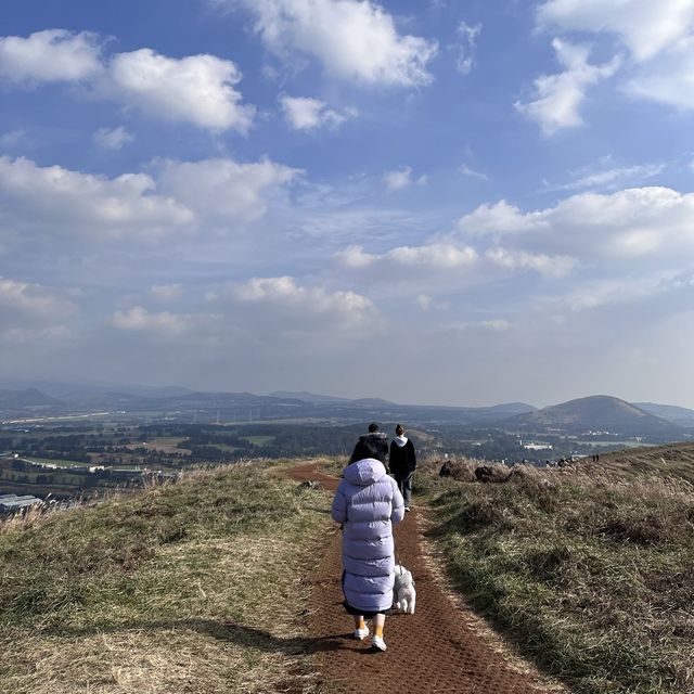 제주ㅣ반려동반 가능한 제주도 오름 추천, 금오름🏔