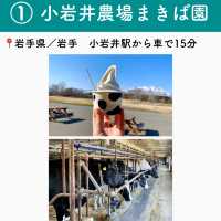 【岩手】行ってよかった岩手の観光地6選