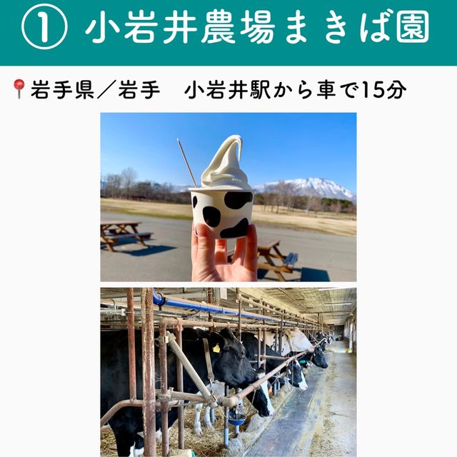 【岩手】行ってよかった岩手の観光地6選