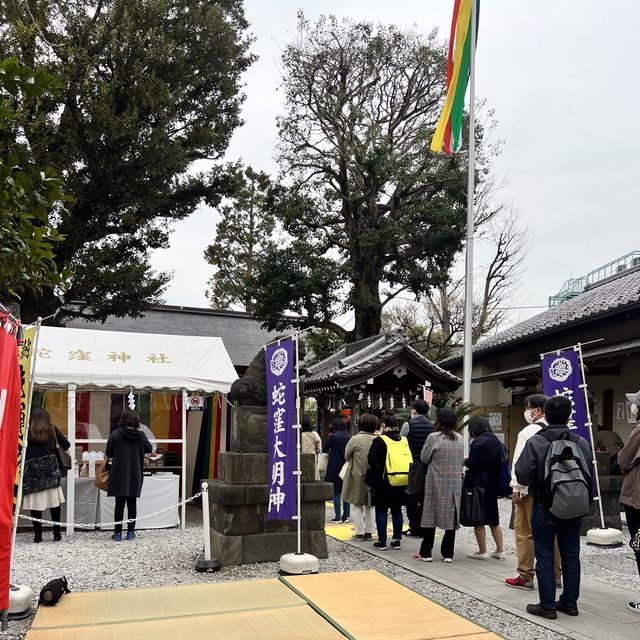 【東京】巳の日にお参りして金運UP✨
