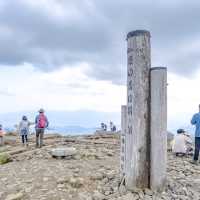 春の塔ノ岳山頂