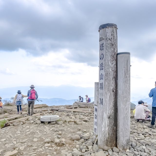 春の塔ノ岳山頂