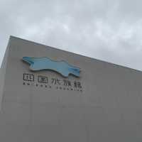 香川県にある四国水族館に行ってきた！🙋‍♀️
