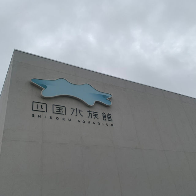 香川県にある四国水族館に行ってきた！🙋‍♀️