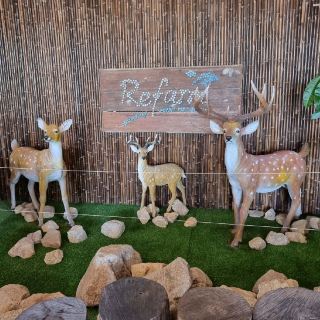 Swim and See Amimals @Refarm