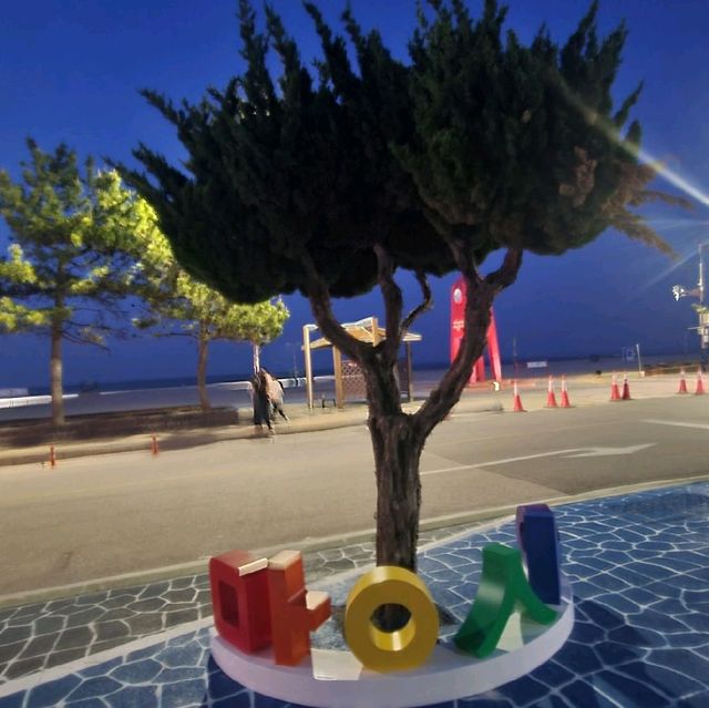 야경까지 예쁜  강원도 동해시 망상해수욕장