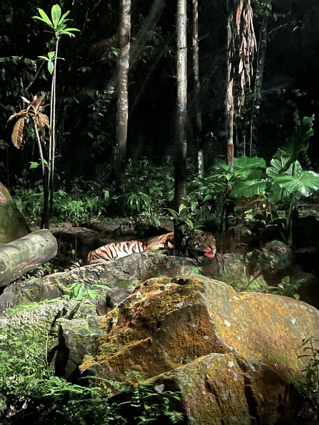 Nocturnal Wildlife at Night Safari