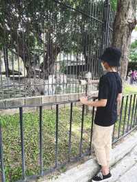 Hello มา Huahin Safari กันเถอะะ!!