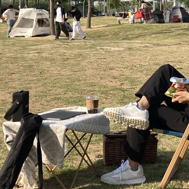 반포 한강지구 피크닉 