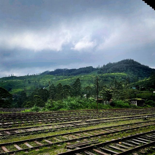 The different Sights Of Beautiful Sri Lanka