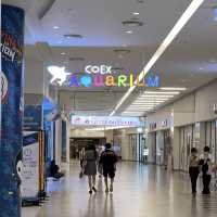 🇰🇷 COEX Aquarium How to Go