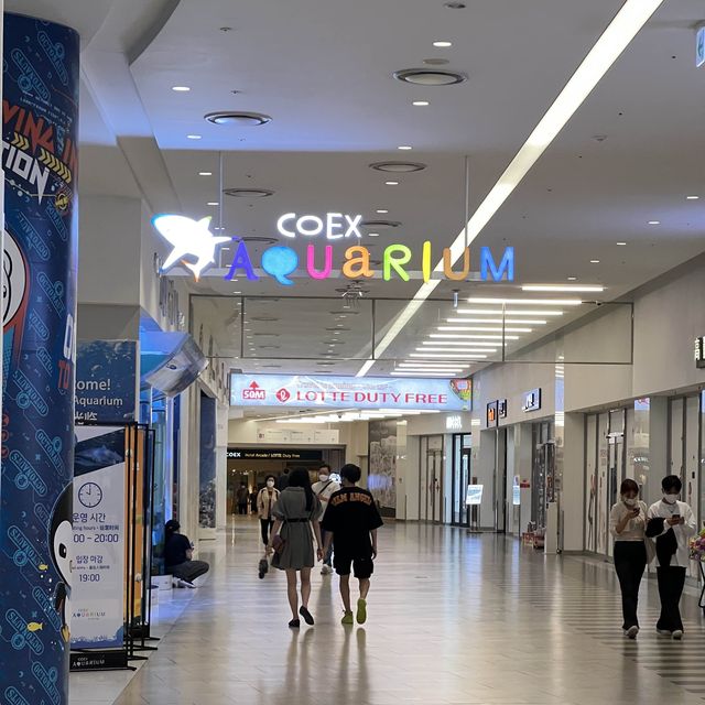 🇰🇷 COEX Aquarium How to Go