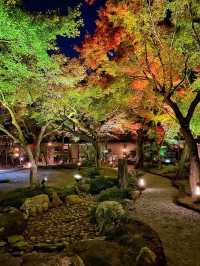 【京都】高台寺 夜間特別拝観✨美しすぎる紅葉ライトアップ✨