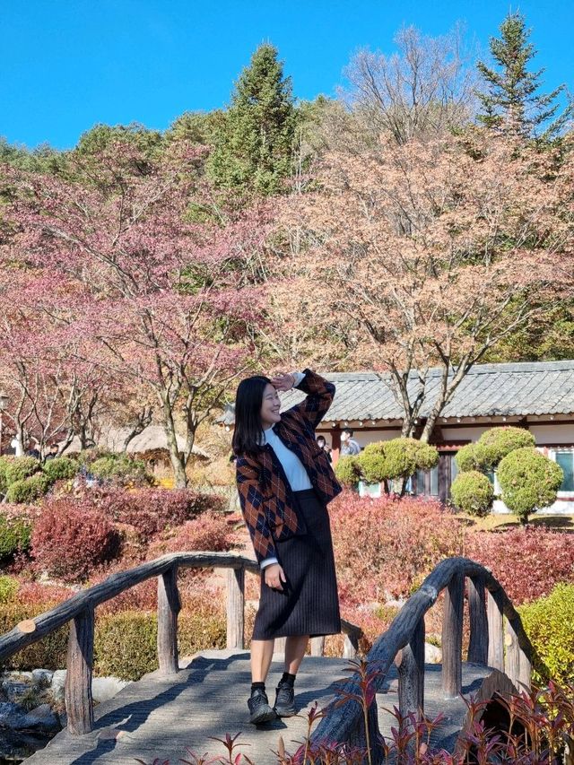 가을의 연못을 담아요