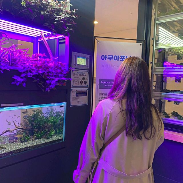 데이트명소 국룰 서울식물원~
