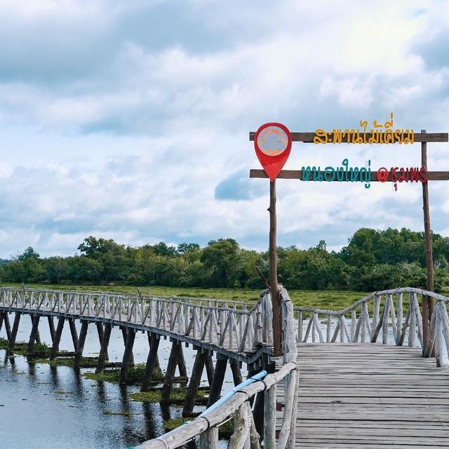 สะพานชมกวาง .. 🦌@หนองใหญ่ ชุมพร