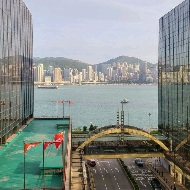 喜出望外帝苑酒店特色套房