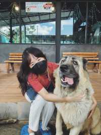 Dog Country Cafe สนุก ไม่จำกัดเวลา