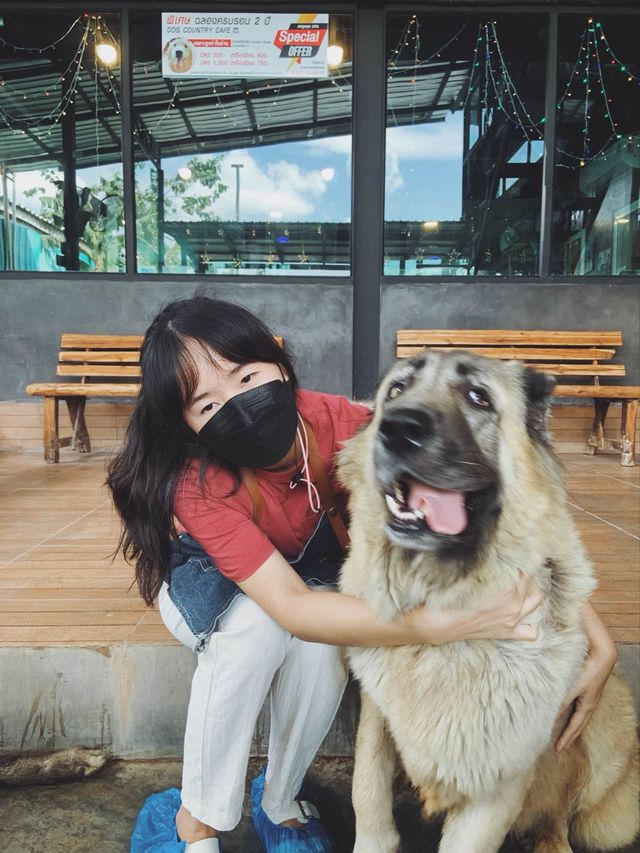 Dog Country Cafe สนุก ไม่จำกัดเวลา