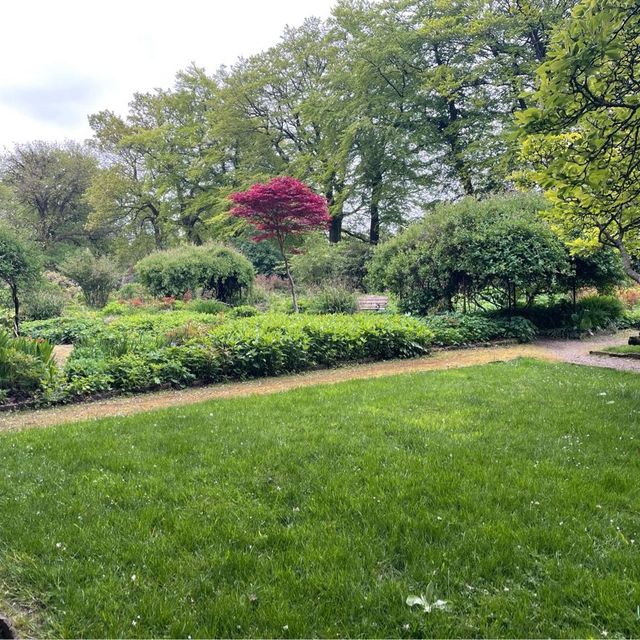 英國曼徹斯特 超大綠化公園 欣賞不同種類嘅植物