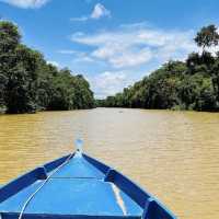 Kinabatangan Wildlife Sanctuary - Borneo, Mal