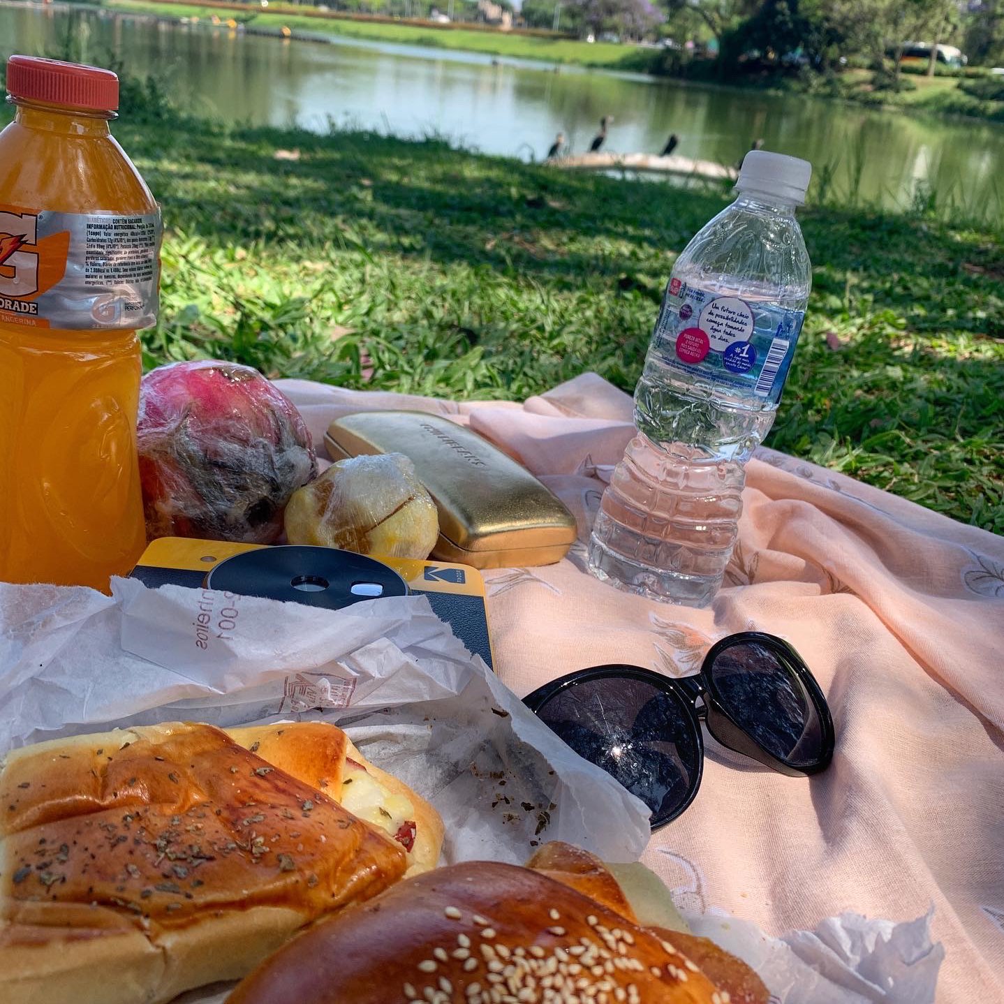 Dã ngoại tại Công viên Ibirapuera