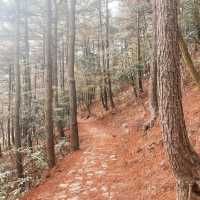 Simingshan in Autumn