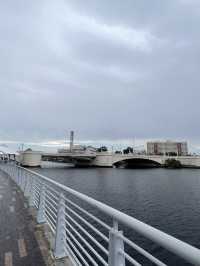 Rainy day in Downtown Tampa 