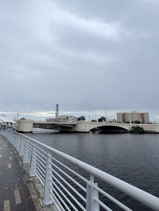 Rainy day in Downtown Tampa 