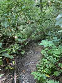 Roaring Fork Motor Natural Trail