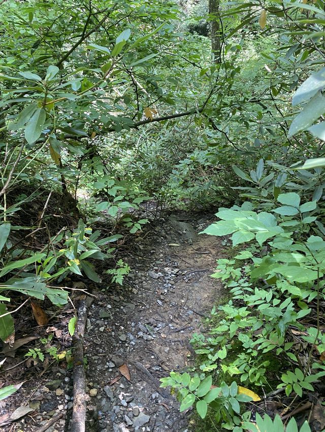 Roaring Fork Motor Natural Trail