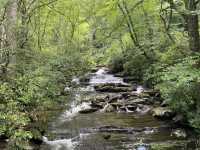 Hike to Chimney Top - Great Smokies 