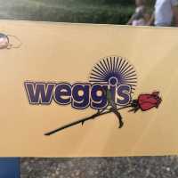Weggis - lake and mountain