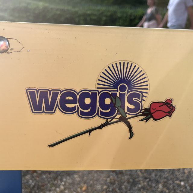 Weggis - lake and mountain