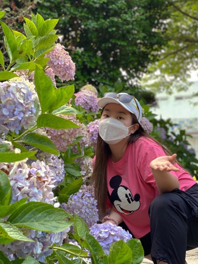 마산의 숨겨진 수국 핫플 🌷 