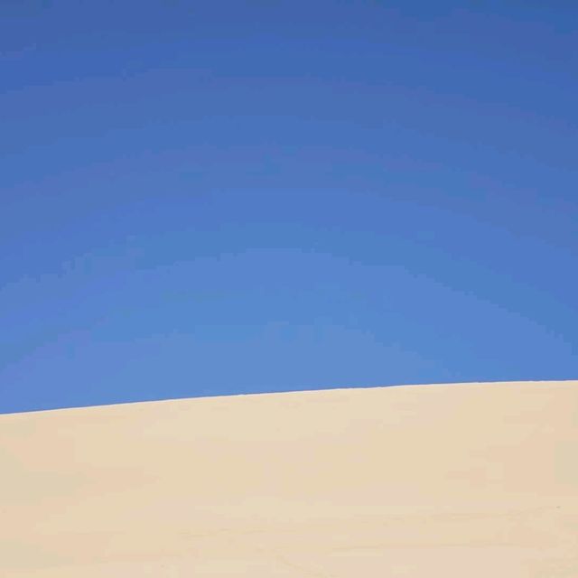 Desert fun