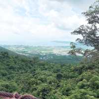 Tropical paradise forest  #Sanya 
