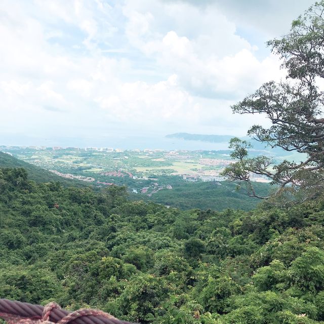 Tropical paradise forest  #Sanya 