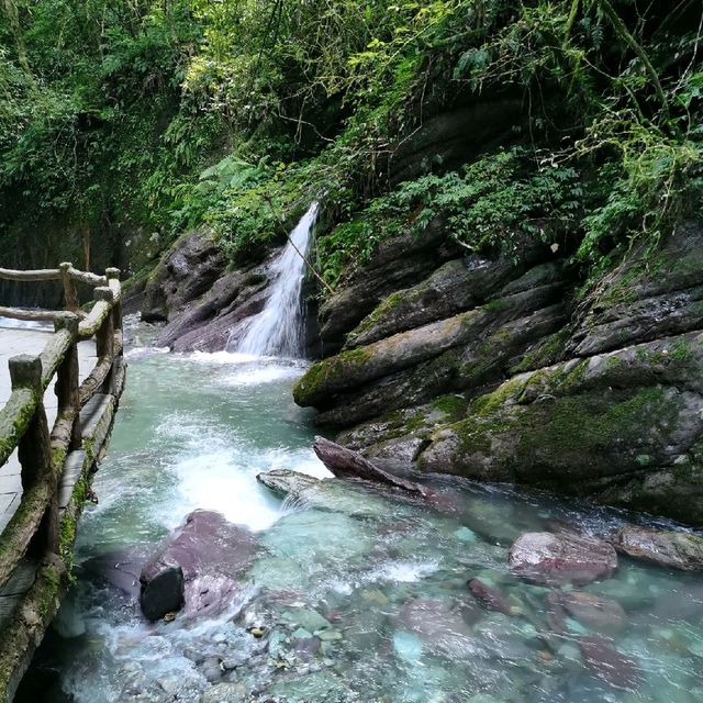 Yamugou(亚木沟)| Enjoy the nature