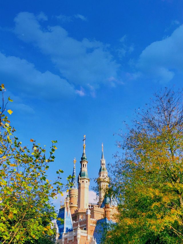 I love here, I love Disney 💕 💕 