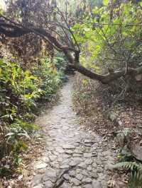 Hidden hike in Longgang