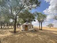 Oasis in Tengger Desert@Inner Mongolia